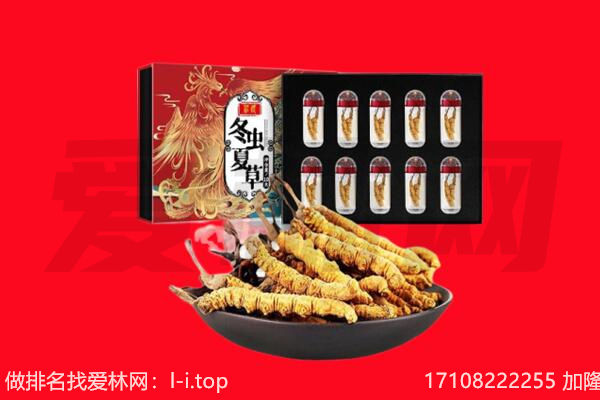 南宁市宾阳回收虫草.jpg